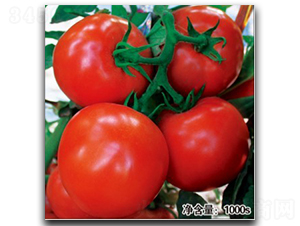 �Z��288-���ѷN��-�մ��r(n��ng)�I(y��)