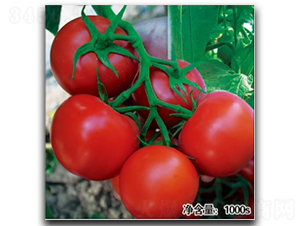 �Z��0441-���ѷN��-�մ��r(n��ng)�I(y��)