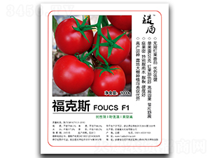 ����˹���o�޼t�����ѣ�-���ѷN��-�մ��r(n��ng)�I(y��)