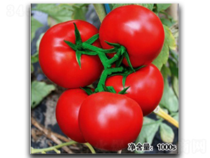 �Z��11208-���ѷN��-�մ��r(n��ng)�I(y��)