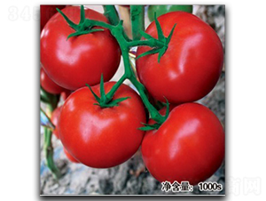 �Z��089-���ѷN��-�մ��r(n��ng)�I(y��)