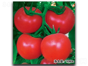 �Z��T121��TY-���ѷN��-�մ��r(n��ng)�I(y��)