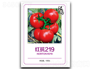 �t��219���o�޼t�����ѣ�-���ѷN��-�մ��r(n��ng)�I(y��)