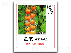 �𱪣���TY��-���ѷN��-�մ��r(n��ng)�I(y��)