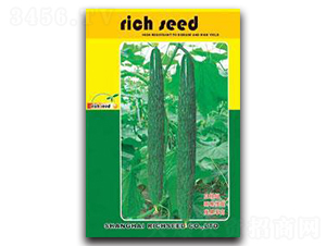 ����-�S�ϷN��-����N�I(y��)