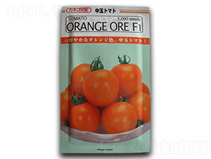 ���L�ߠ���-���ѷN��-����N�I(y��)