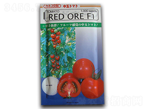 �t�L�ߠ���-���ѷN��-����N�I(y��)