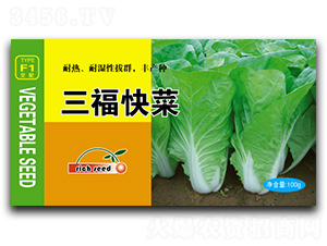 �������-�ײ˷N��-����N�I(y��)