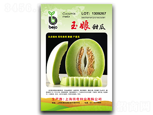 ����-��ϷN��-����N�I(y��)