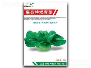 �����ذ����-��˷N��-����N�I(y��)