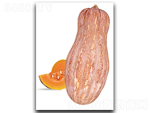 �����ܱ�����-�ϹϷN��-����N��