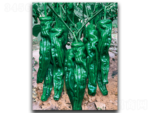 ����һ����-�����N��-����N��