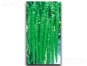 ��������4049-�����N��-����N��