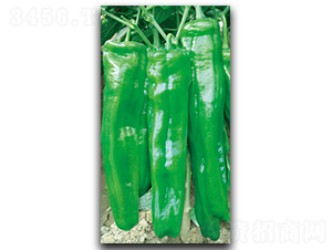 �f�Ҹ�135-�����N��-����N��