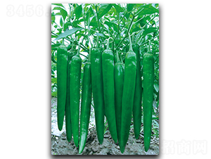 ��������365-�����N��-����N��