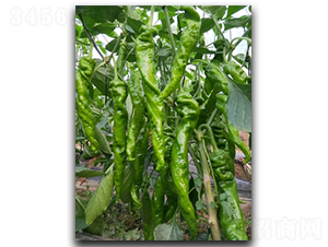 ����һ�y(t��ng)����-�����N��-����N��