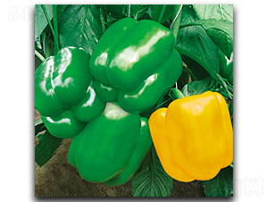 ����S400-�����N��-����N��