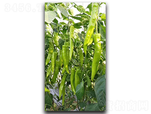 ����S300-�����N��-����N��