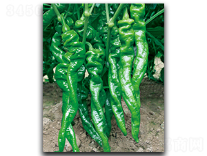 ����S200-�����N��-����N��