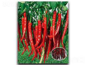 ����S-707-�����N��-����N��