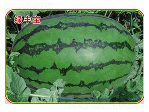 �G�S��-���ϷN��-�s�S�N�I(y��)