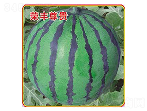 �s�S���F-���ϷN��-�s�S�N�I(y��)