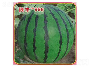 ��S998-���ϷN��-�s�S�N�I(y��)