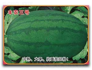 �S�r(n��ng)��̖-���ϷN��-�s�S�N�I(y��)