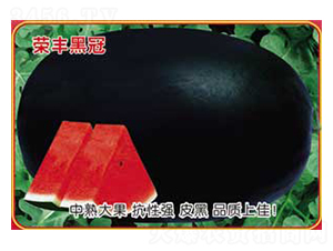 �s�S�ڹ�-���ϷN��-�s�S�N�I(y��)