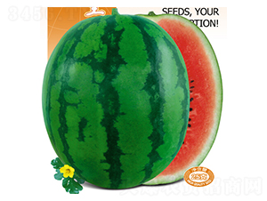 ��S����-���ϷN��-�s�S�N�I(y��)