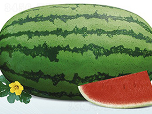 �߿���̖(h��o)-���ϷN��-�s�S�N�I(y��)