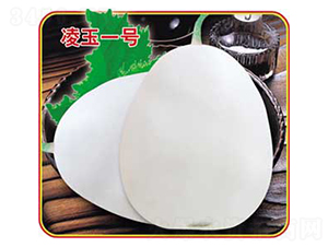 ����һ̖(h��o)-��ϷN��-�s�S�N�I(y��)