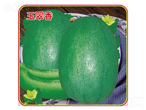 �����-��ϷN��-�s�S�N�I(y��)