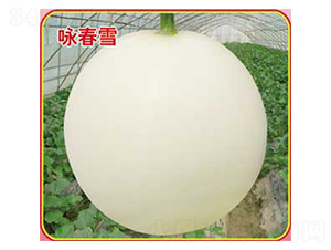 ԁ��ѩ-��ϷN��-�s�S�N�I(y��)