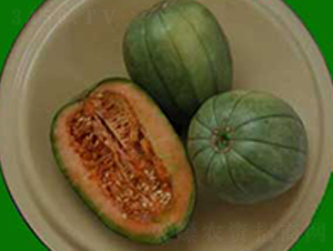 ֥����-��ϷN��-�s�S�N�I(y��)