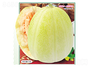 ��������-��ϷN��-�s�S�N�I(y��)