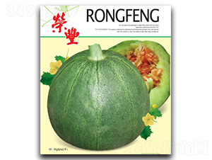 ������2̖(h��o)-��ϷN��-�s�S�N�I(y��)