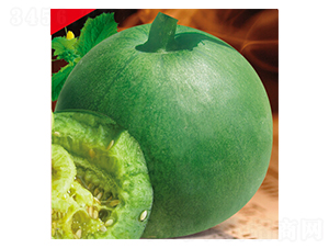 �G��-��ϷN��-�s�S�N�I(y��)