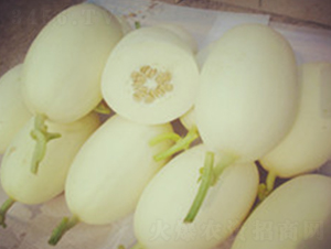 ���һƷ��-��ϷN��-�s�S�N�I(y��)