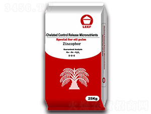 �~�\��15-10-5-�Ŷ�-�����Ƽ�