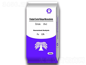 �����F��-�Ŷ�-�����Ƽ�