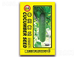 ��ï�S��-�S�ϷN��-�����r(n��ng)