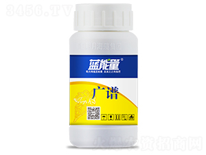 �V�V���~���-�{(l��n)���� 