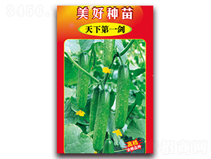 ���µ�һ��-�S�ϷN��-���÷N��