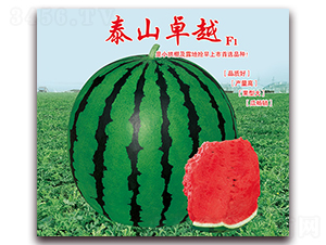 ̩ɽ׿Խ-���ϷN��-���÷N��