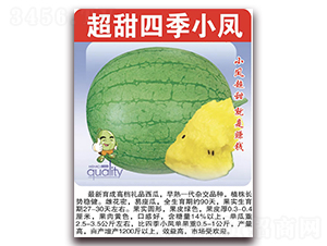 �����ļ�С�P-���ϷN��-���÷N��