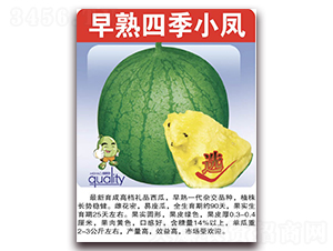 �����ļ�С�P-���ϷN��-���÷N��