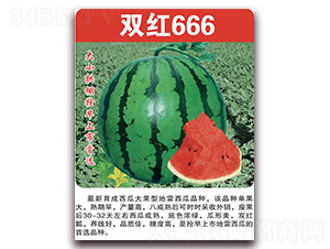 �p�t666-���ϷN��-���÷N��