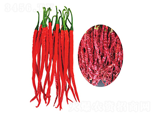 �����t��2̖(h��o)-�����N��-�����@ˇ