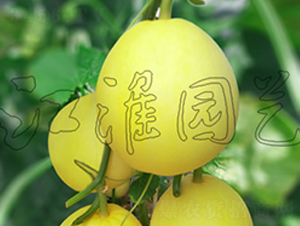 �S��(y��u)��-��ϷN��-�����@ˇ